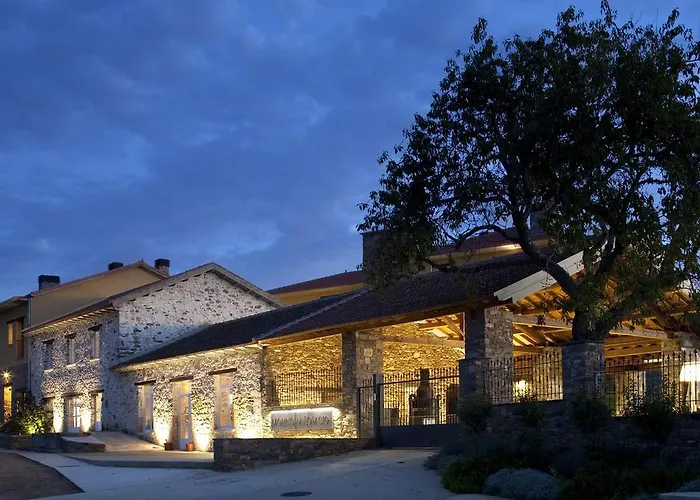 El Molino De Losacio